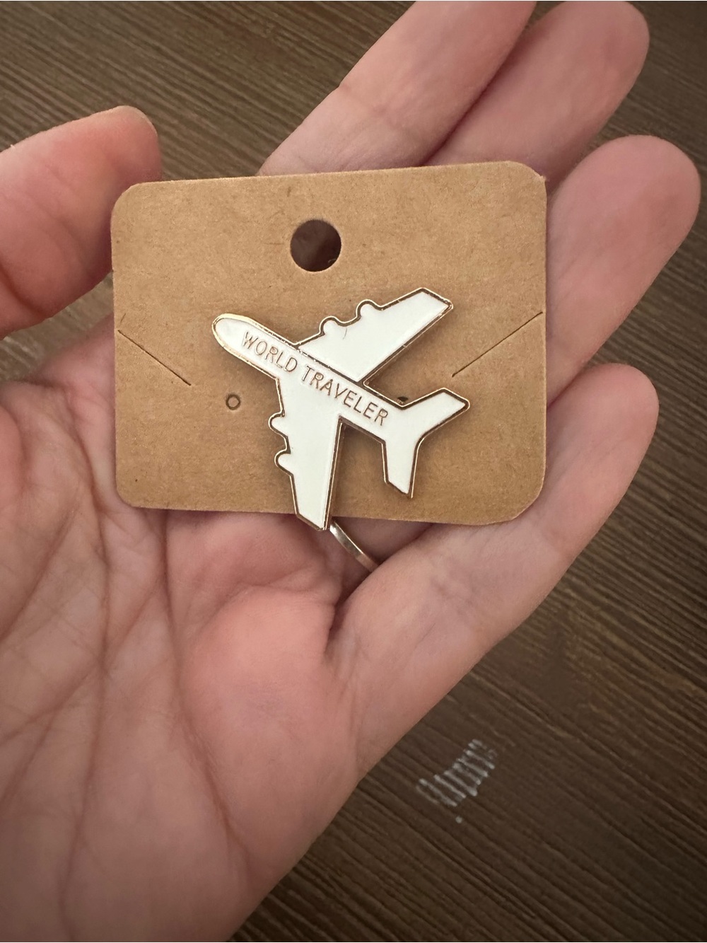 World Traveler Airplane Enamel Pin - Picture 2 of 6